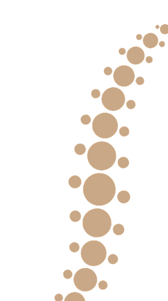 logo vector object