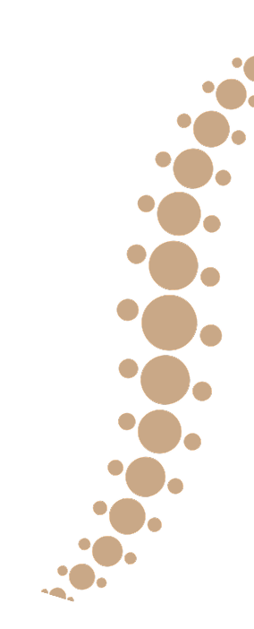 logo vector object