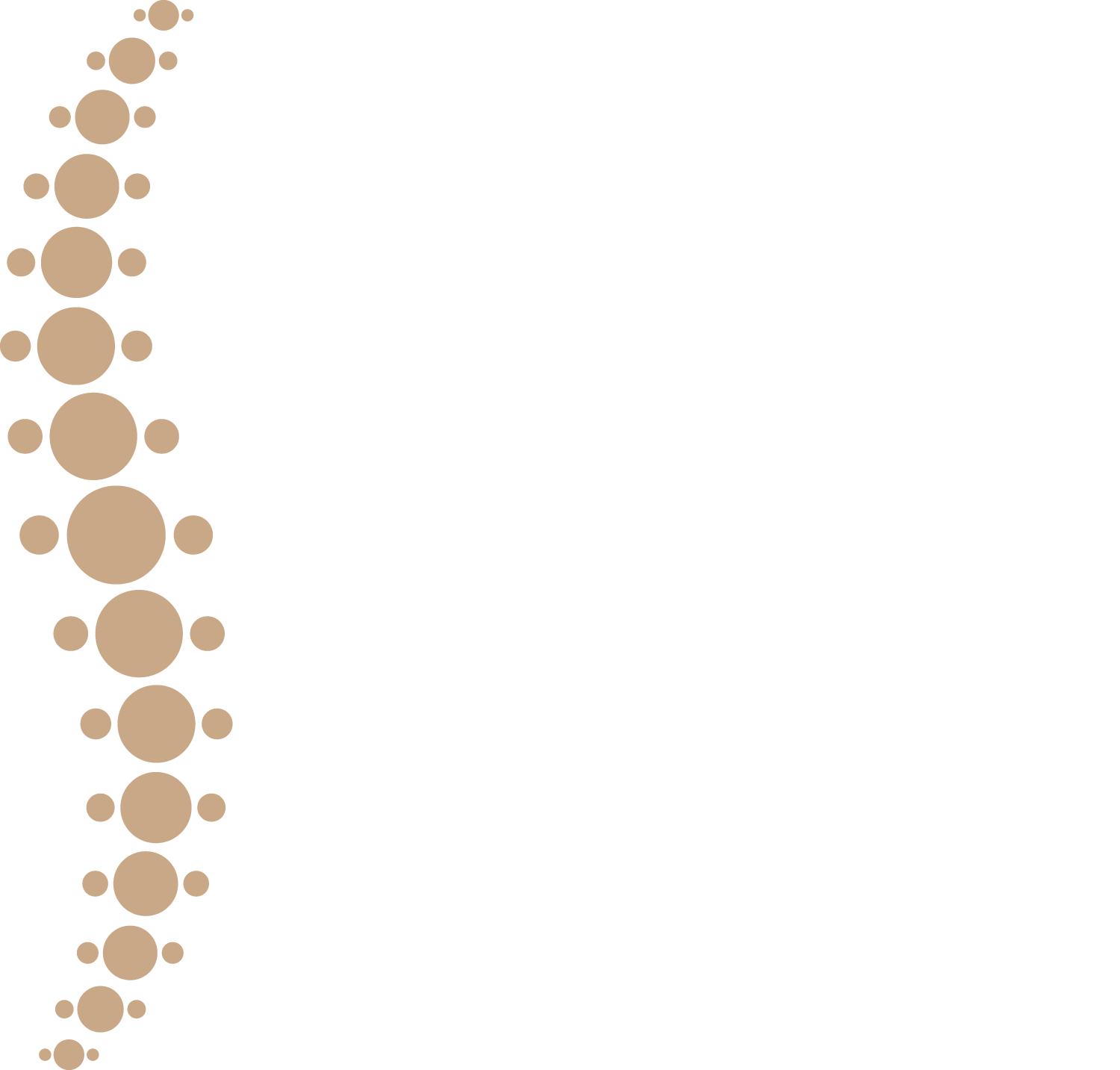 Van Rijn Massagetherapie